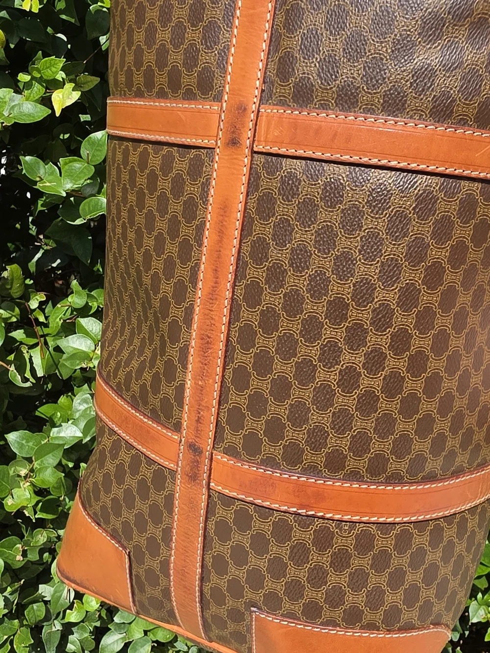 Celine macadam canvas